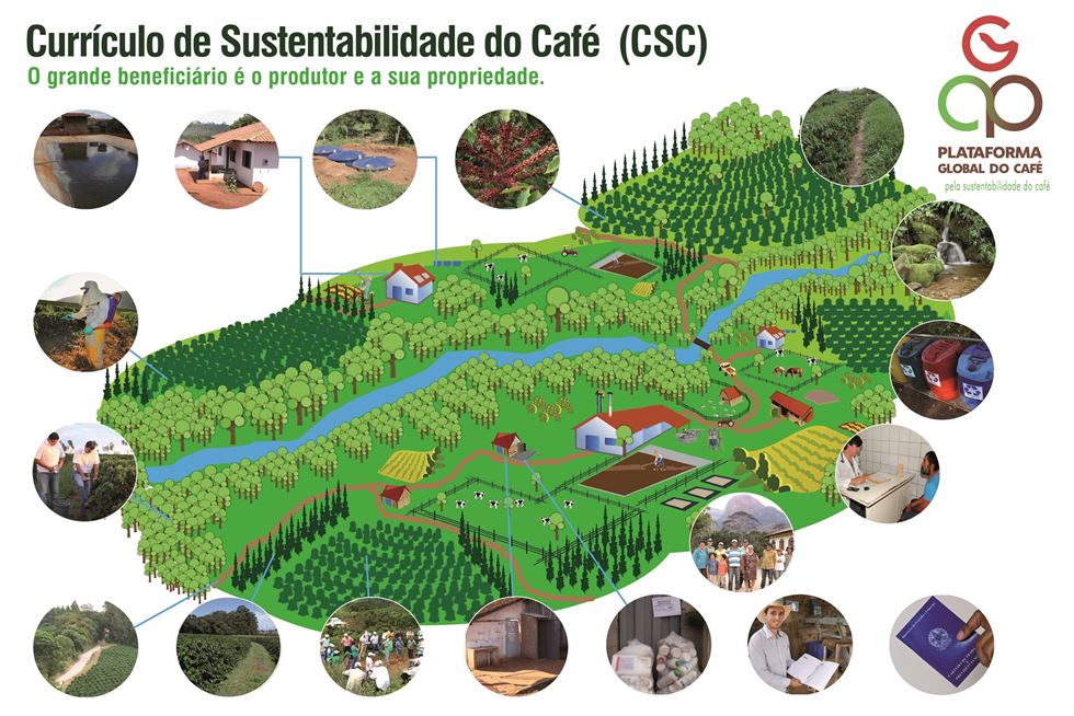 A origem do Currículo de Sustentabilidade do Café (CSC)